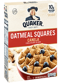 Oatmeal squares canela