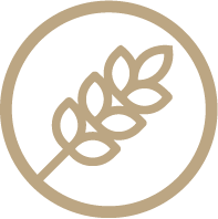 Ramas